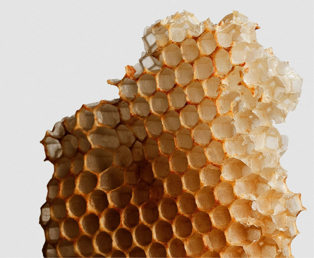THE ULTIMATE NATURAL SKINCARE GUIDE FOR DRY SKIN
