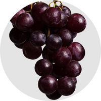 Grape Seed Oil