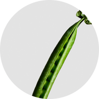 Pea Peptides