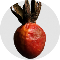 Rosehip Seed Oil